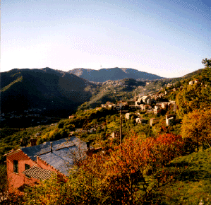 panorama.gif (68142 byte)