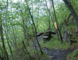 pict0002.jpg (17536 byte)